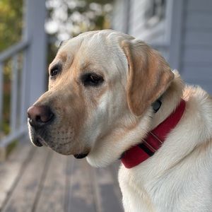 Meet your Posher, Katy